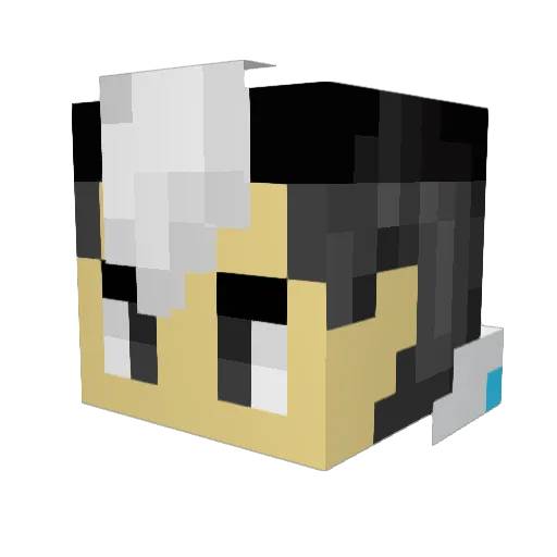 KillerPiplup Minecraft avatar head, 3D render