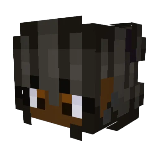 Killer_Fox24 Minecraft avatar head, 3D render