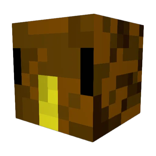 Killer_Kiwi55 Minecraft avatar head, 3D render