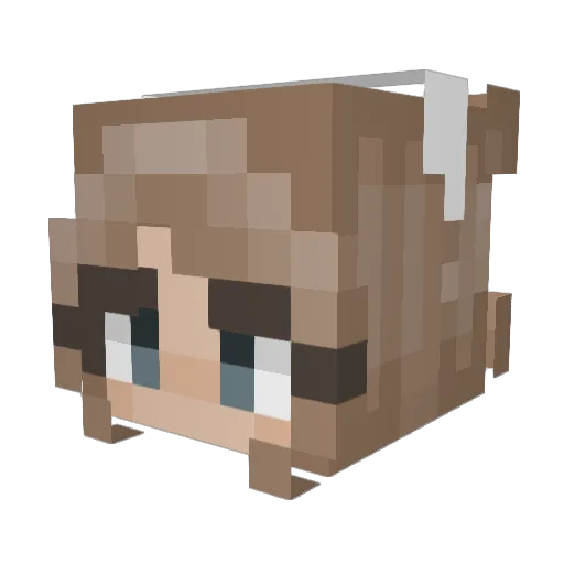Killer_Oink Minecraft avatar head, 3D render