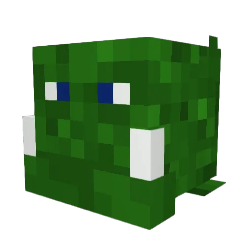 Killerbrame Minecraft avatar head, 3D render