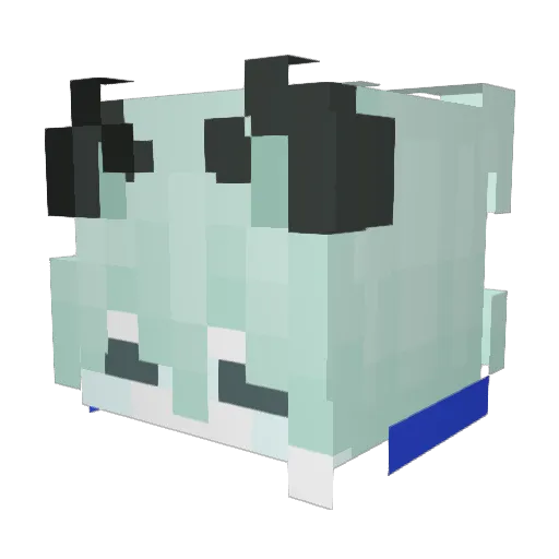 Killercat2010 Minecraft avatar head, 3D render
