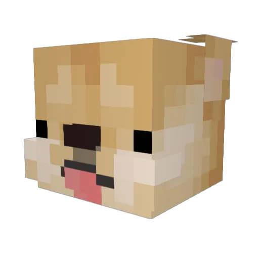 Killercroc5611 Minecraft avatar head, 3D render