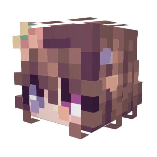 Killerdori Minecraft avatar head, 3D render