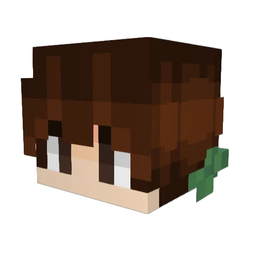 Minecraft-Avatar von Killerdragon1507: Kopf als 3D-Render