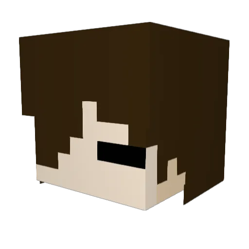 Killerfish360 Minecraft avatar head, 3D render
