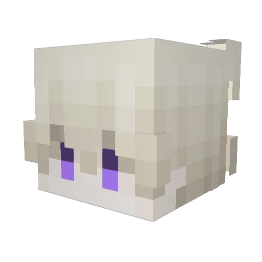 Killerjack1981 Minecraft avatar head, 3D render