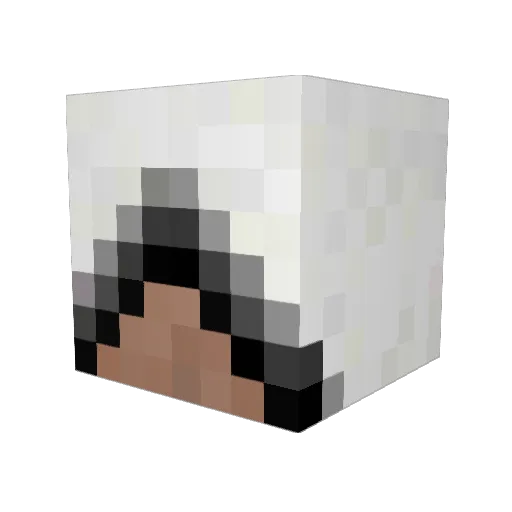 Killerkid567 Minecraft avatar head, 3D render
