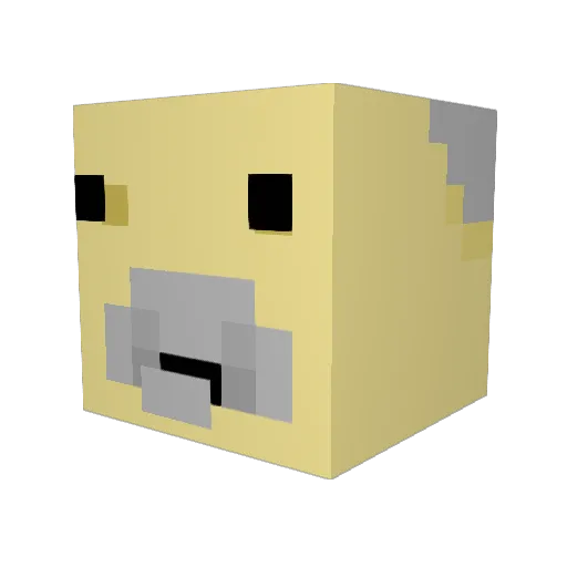 KillerrBean Minecraft avatar head, 3D render