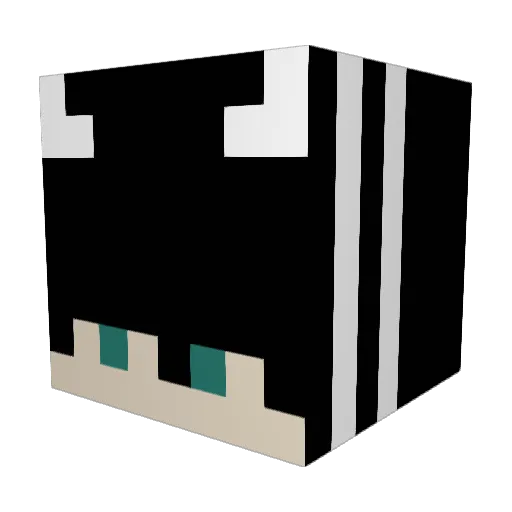 Killerskiller005 Minecraft avatar head, 3D render