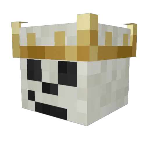 Killerus Minecraft avatar head, 3D render