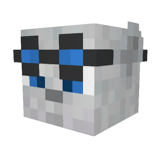 Killfang9572 Minecraft avatar head, 3D render