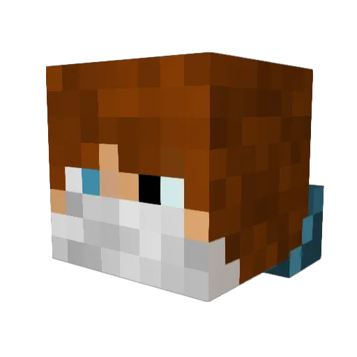 Killian1100 Minecraft avatar head, 3D render