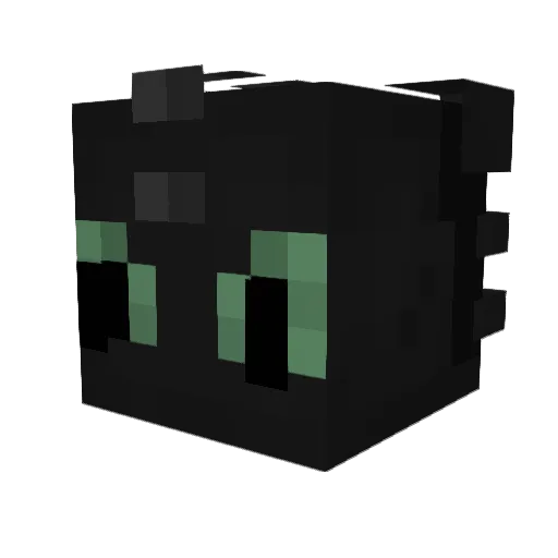 Killibug Minecraft avatar head, 3D render