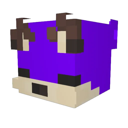 KillinYT Minecraft avatar head, 3D render