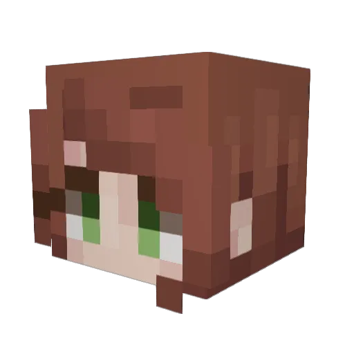 KilljoySunshine Minecraft avatar head, 3D render