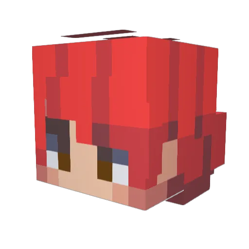 KilljoysRevenge Minecraft avatar head, 3D render