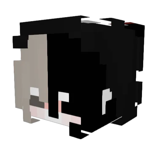Killoa_YT Minecraft avatar head, 3D render