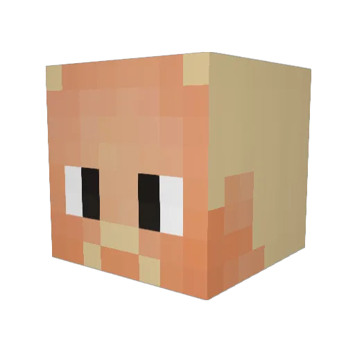 Killocity Minecraft avatar head, 3D render