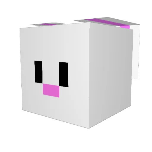 KillrRabbit11 Minecraft avatar head, 3D render