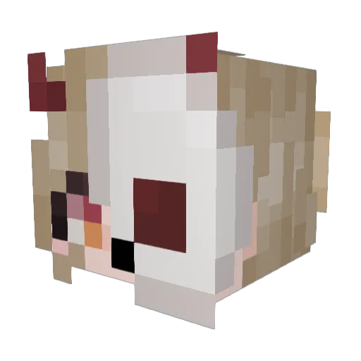Killso Minecraft avatar head, 3D render