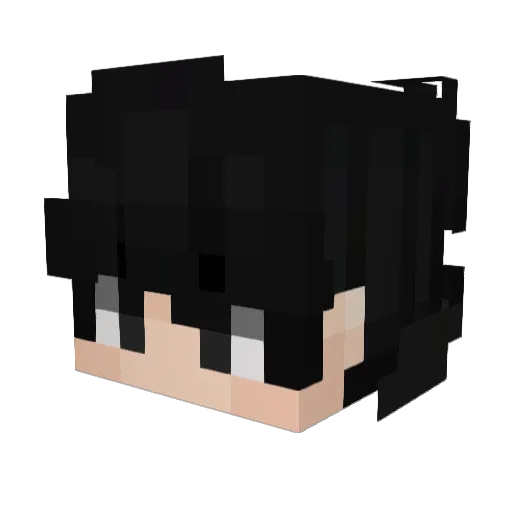 Killstartyer_ Minecraft avatar head, 3D render