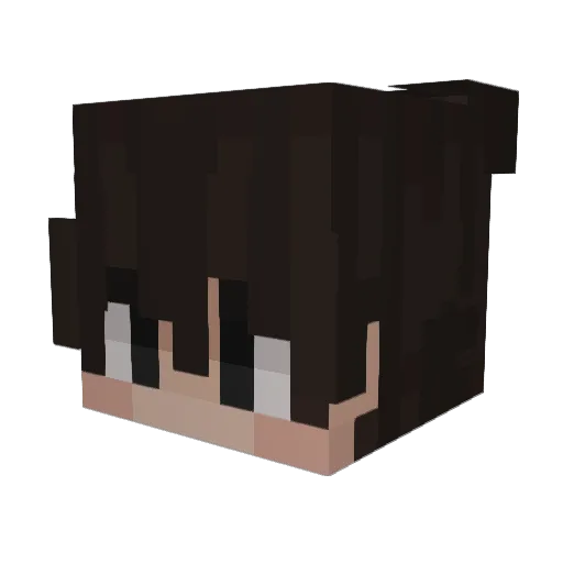 Killswitch344 Minecraft avatar head, 3D render