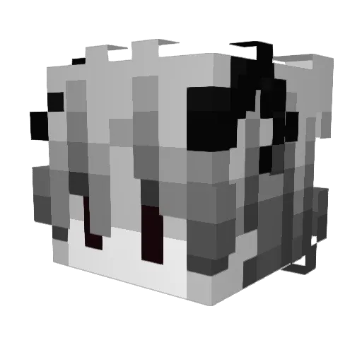 Killua5925 Minecraft avatar head, 3D render