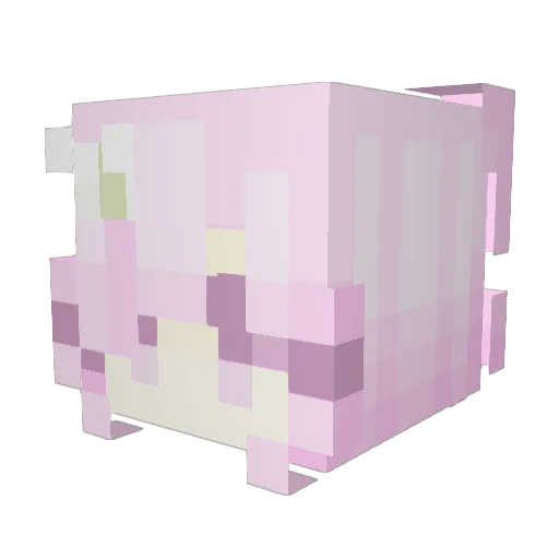 Killunny Minecraft avatar head, 3D render