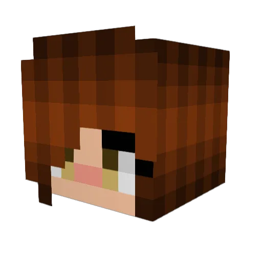 Killure Minecraft avatar head, 3D render