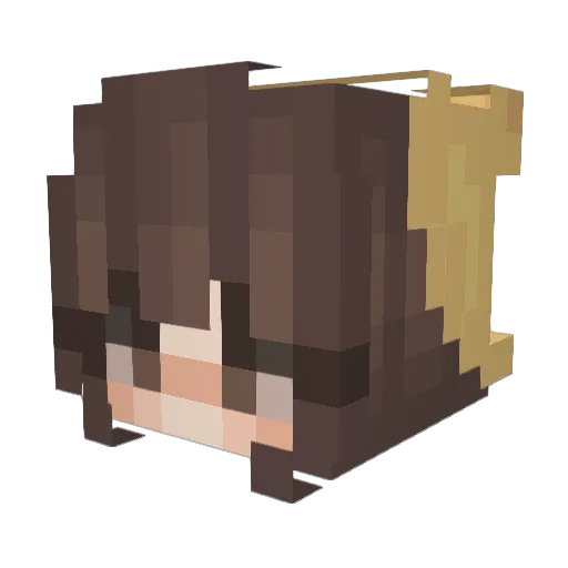 Kilo10 Minecraft avatar head, 3D render