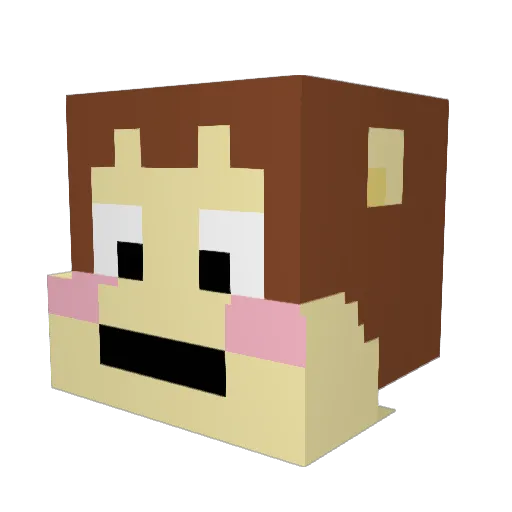 KilrCatAmado Minecraft avatar head, 3D render