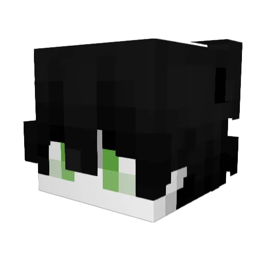Kilsiel Minecraft avatar head, 3D render