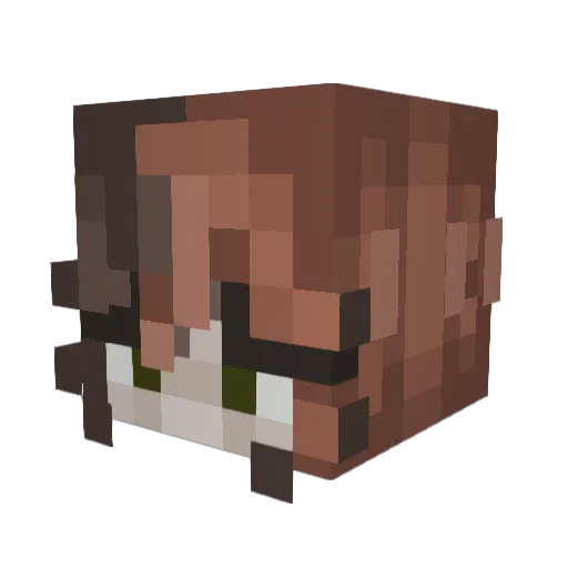 Kiluja Minecraft avatar head, 3D render