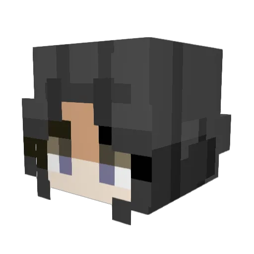 KimAeong Minecraft avatar head, 3D render
