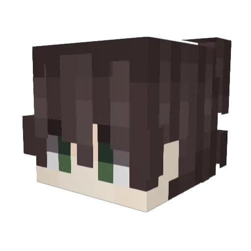 KimCanon Minecraft avatar head, 3D render