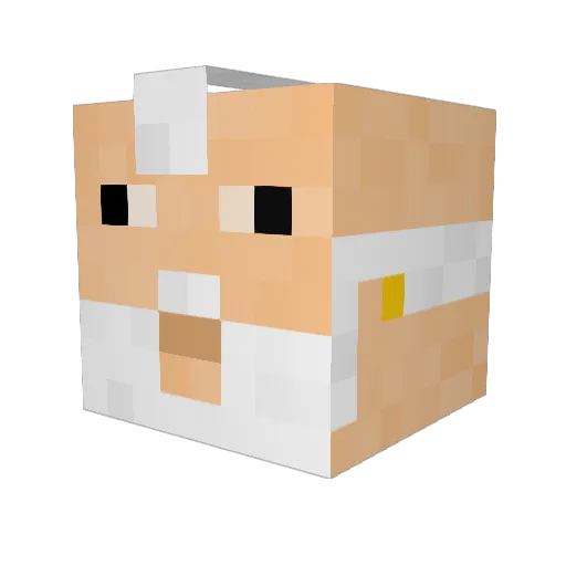 KimGanDhi Minecraft avatar head, 3D render
