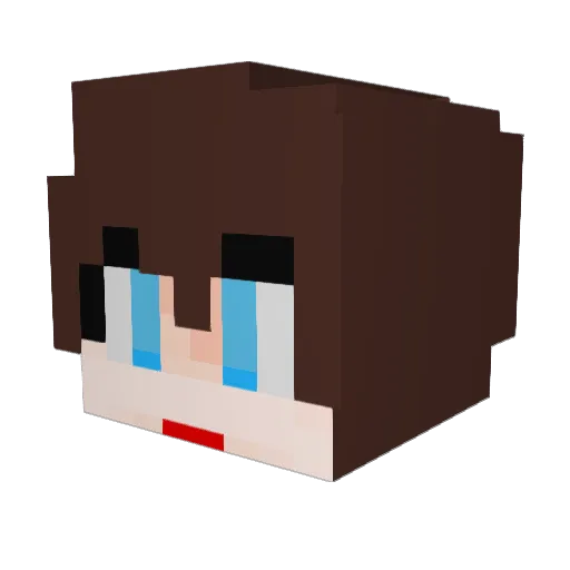 KimHJ Minecraft avatar head, 3D render