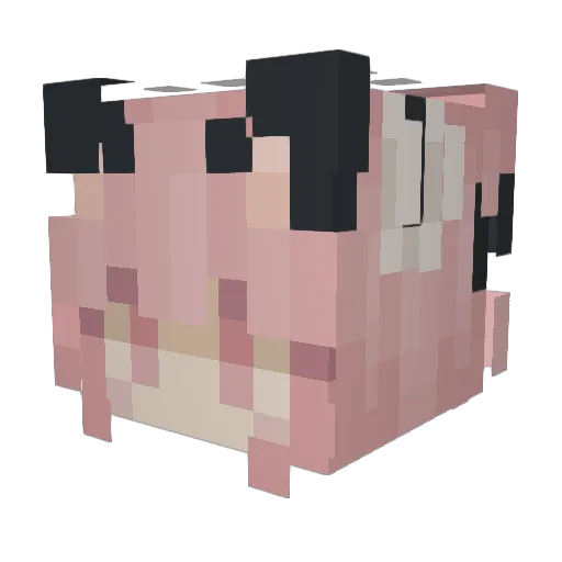 KimNaruuuu Minecraft avatar head, 3D render