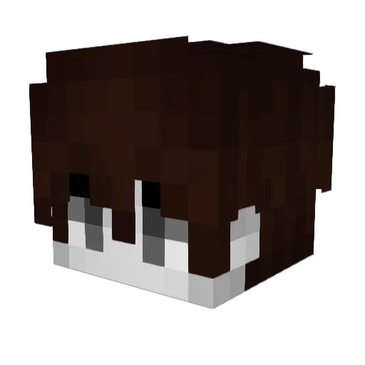 KimSamGi Minecraft avatar head, 3D render
