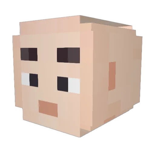 KimSungJin_ Minecraft avatar head, 3D render