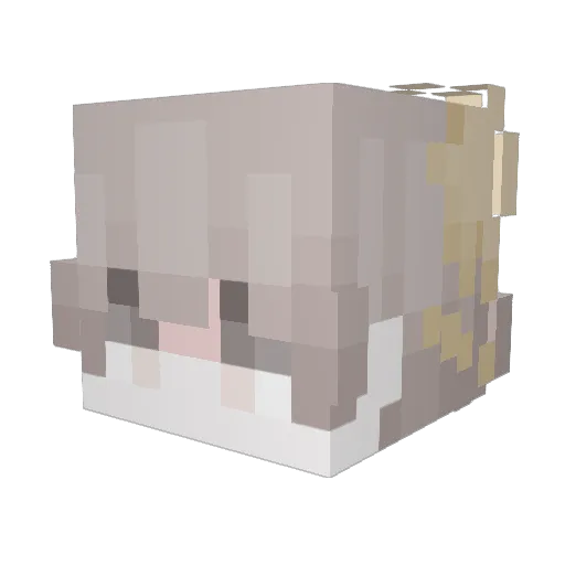 KimTrungg Minecraft avatar head, 3D render