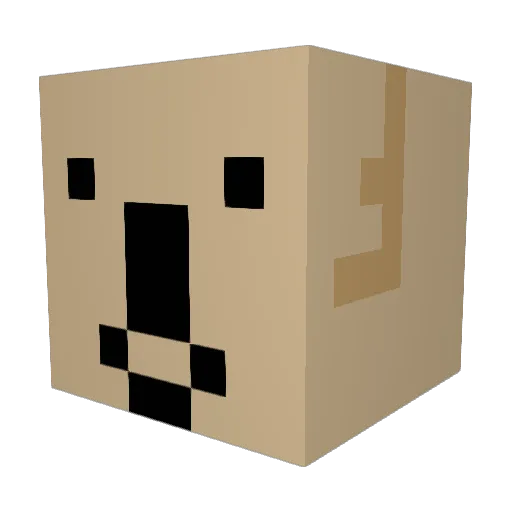 Kim_koala81 Minecraft avatar head, 3D render