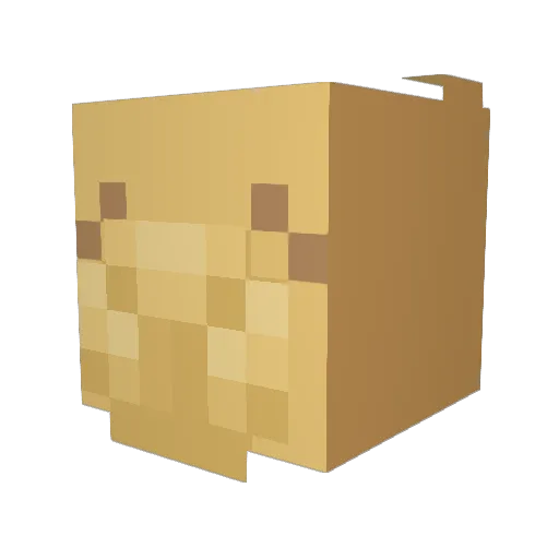 Kim_mujea Minecraft avatar head, 3D render