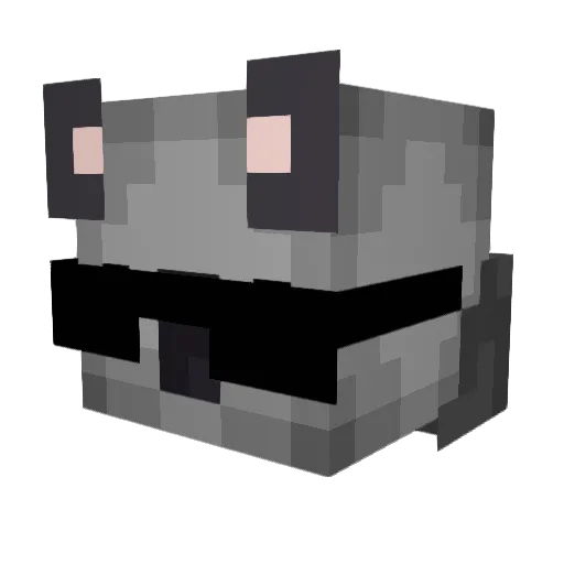 Kima24 Minecraft avatar head, 3D render