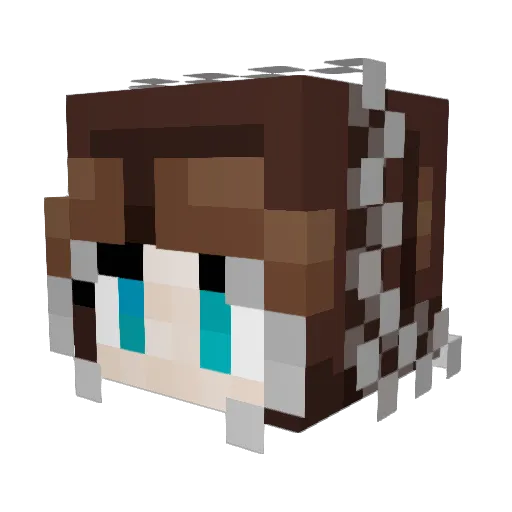 Kimba20 Minecraft avatar head, 3D render