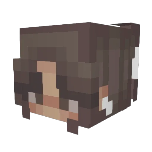 Kimbaerli Minecraft avatar head, 3D render