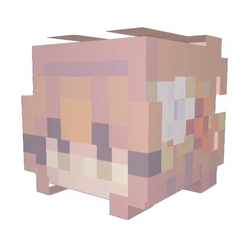 Kimchiru Minecraft avatar head, 3D render