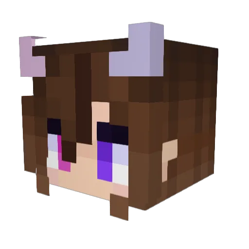 Kimcy_Felicity Minecraft avatar head, 3D render