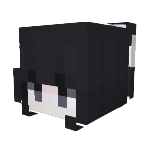 Kimijstudio Minecraft avatar head, 3D render